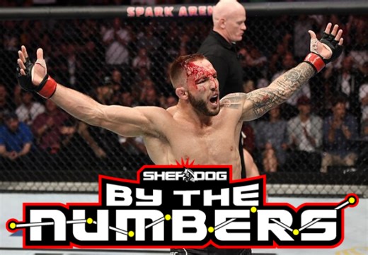 By The Numbers: Brad Riddell vs. Rafael Fiziev