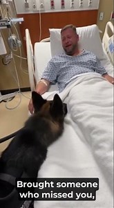 Police Dog's EMOTIONAL Visit to Hospital - #PoliceDog #EmotionalMoment #HospitalVisit