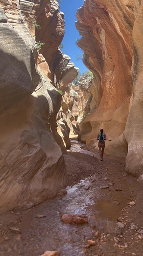 Enjoy the peace and quiet. #hiking #fakebody #explore