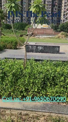 JMS The Pearl Sector 95, Gurugram