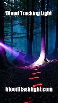 UV Blood Tracking Lights for Hunting Rechargeable Black Light
