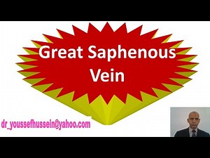 32. Great saphenous vein