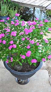 990K views · 6.6K reactions | make a rotating flower pot base from an old brake disc #tools #welder #diy #creative | Tình Lê | Facebook