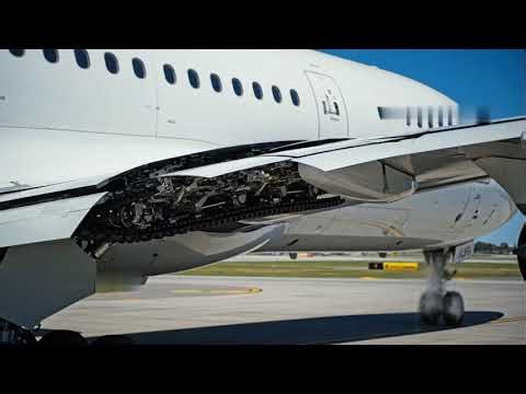 What is the Secret of the Transforming Wing? 🤯 (How It Stops You From Falling!)