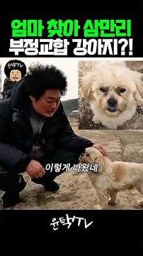 사람같은 강아지를 만난 윤택 #윤택tv #나는자연인이다 #오지객
