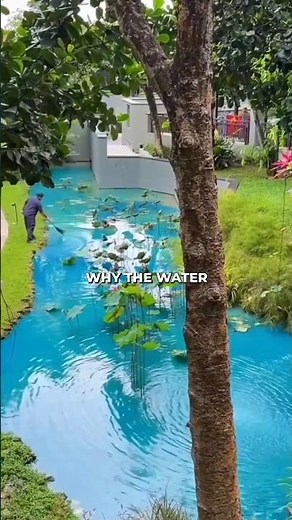 Secret behind blue water in hotel pool