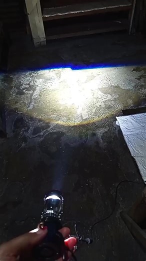 y7d mini proji harga promo lamou soket h4 12 -24 volt jadi truk juga bisa #rekomendasi #miniprojector #y7d