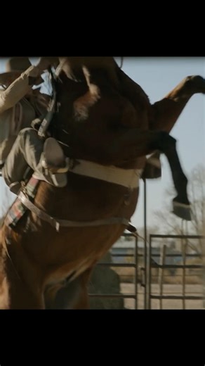 🐎🧘‍♂️💚 "The horse isn't wild. You're just afraid of being HURT." – The moment a boy became a MAN.
