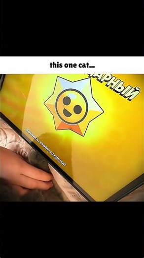 Cat LEGENDARY Starr Drop gone Wrong...☠️🔥 #shorts #brawlstars #voiceacting