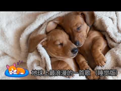 黄鸿升 - 地球上最浪漫的一首 睡觉模式 | Sleeping Mode