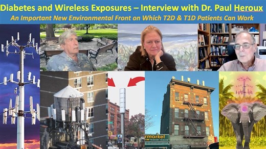 Diabetes Connection with Electromagnetic Fields from Power Systems and Telecommunications Technologies