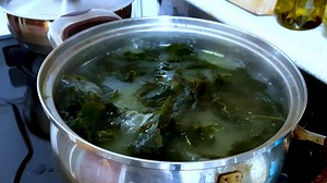 Aquarium, Water, Seaweed, Fish