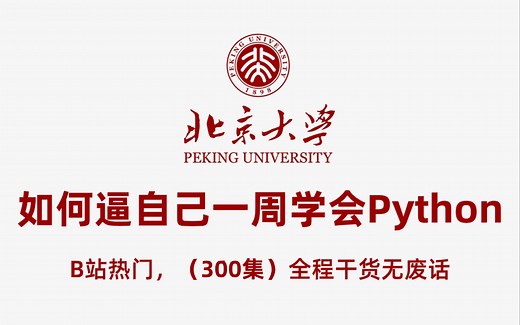 【全300集】零基础小白如何学习Python，B站最系统Python全套入门教程，保姆级教学，一周学完直接上手！从0基础小白到编程大神只要这套就够了！！