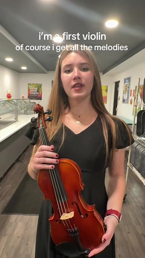 Orchestra Life: Violin vs. Cello Humour