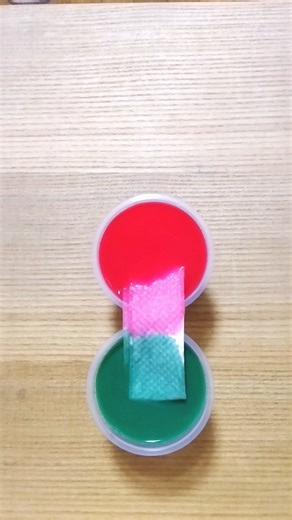 Chromatic Capillary Fusion — Red & Green Water Rise Experiment in Slow Aesthetic Motion#satisfying