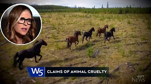 25K views · 128 reactions | W5 managing editor and host Avery Haines discusses her investigation into a part of the agriculture industry that most Canadians probably aren't aware of. Watch her documentary 'Flight Animals' today, Saturday, Feb. 27, at 7 p.m. on CTV. | CTV News | Facebook