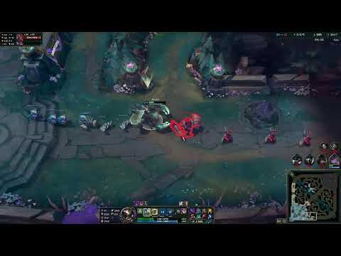 AP SKARNER TOP
