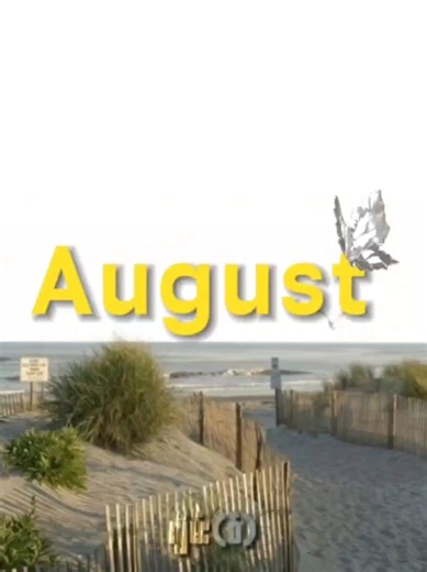 August Taylor Swift lyrics (2020) — Full mmsub translation