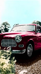 71K views · 75 reactions | Rev up the color.  Colorize a black & white photo or change the colors in a specific area of your pic with Photoshop Elements. | Adobe Photoshop Elements & Premiere Elements | Facebook