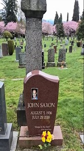 Grave of Actor, John Saxon, in Lake View Cemetery, Seattle #shorts #grave #actor | Best Actor