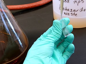 Rapid One-step Enzymatic Synthesis and All-aqueous Purification of Trehalose Analogues