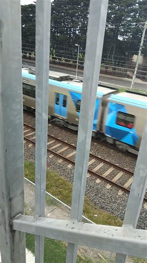 hcmt at springvale #train #metro #rail