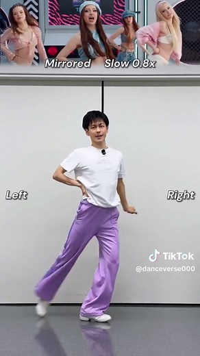 Toz Pembe dance tutorial mirrored slow 0.8x - Toz Pembe 踊り方解説