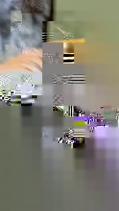 Lily learning about her own kind 🐯 📹: Keeper Nikki | Oakland Zoo