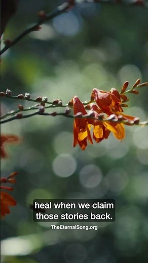 The land holds memories