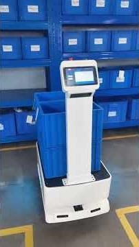 Case: The Big Dog material handling robot in a electronics factory in Dongguan