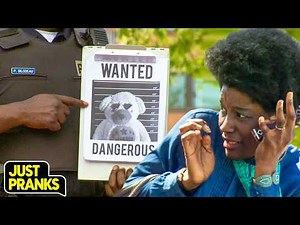 The Most Terrifying Evidence Inspection Ever! 😂🧸🚔 | Just Pranks