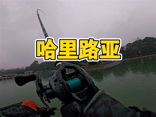[钓鱼vlog]雨幕如帘，鳜影如刀，看透水下刺客的致命节奏