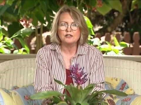 Easy Container Garden Basics 4:51 min