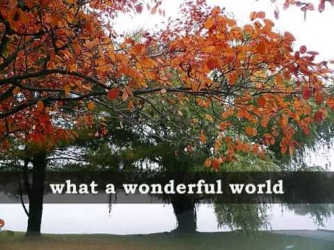 WHAT A WONDERFUL WORLD - Louis Armstrong (Lyrics)