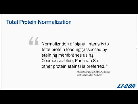 Total Protein Stain Western Blot Normalization Protocol