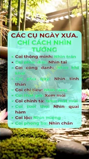 Sốc! Bí ẩn lời xưa hé lộ: Lời cổ nhân dạy ẩn chứa sức mạnh thay đổi cuộc đời bạn?