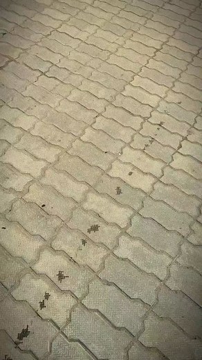 5.3K views · 17 reactions | At Pahari Baba Taxi Service, we believe...