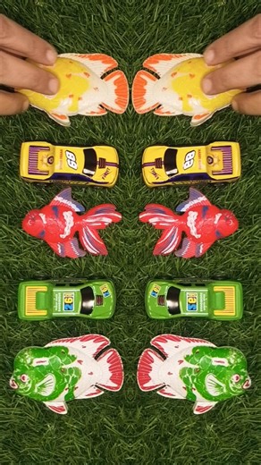 #gaimingtng #cars#fish #animals#toy#gaiming