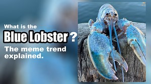 What Is The 'Blue Lobster' Meme? The Video Trend Explained
