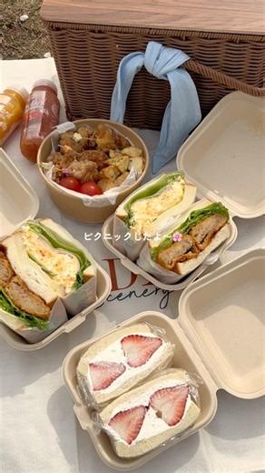 We made sandwiches and had a picnic ☺️🥪🌸 #sandwiches #picnic