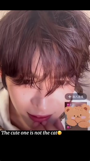 Ziyu's Love for Cats: A Heartwarming Story