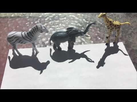 Animal Shadow Art