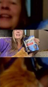 Probiotics Dogs Support Gut Health Pre Probiotics Enzymes Pet Supplies