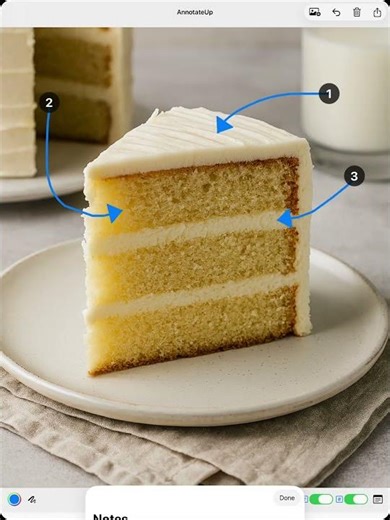 How to use AnnotateUp for iPad to draw arrows on images