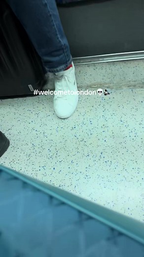 54K views · 344 reactions | Welcome to London where you use public transportation at your on risk ⚠️ #reelsviralシfb #london | Facticity Uk | Facebook