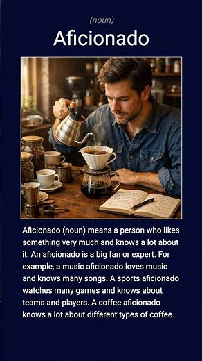 English word 'aficionado' noun C2