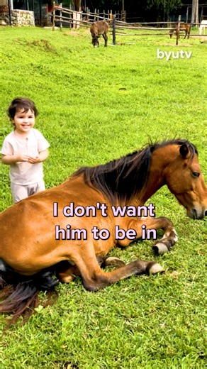 Frodo’s journey hasn’t been easy—but with Derrick’s expertise, he’s getting a second chance at a full, happy life. From a supportive brace to a custom prosthetic, every step is designed to bring comfort and mobility back to this brave horse. 🐴💛 #WizardofPawsTV #WizardofPaws #BYUtv #BionicPets | BYUtv