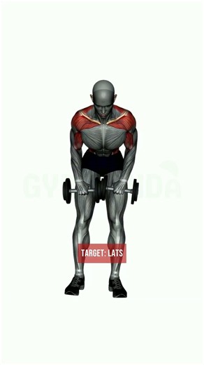 Dumbbells Bent Over Row Pronated Grip for Lats — Proper Form