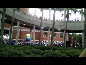 UF Marching Band lightning delay Call Me Al