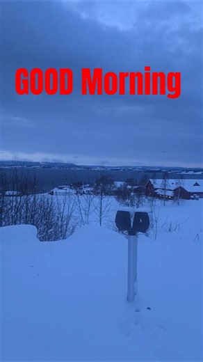 WAKING UP IN THE SNOW ❄️ Trondheimsfjorden 🇳🇴norway roadtrip